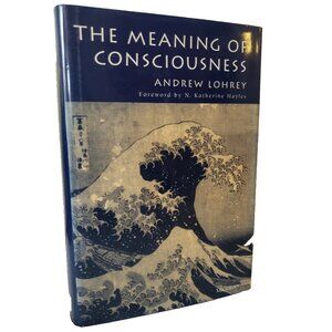 The Meaning of Consciousness Andrew Lohrey Studies In Literature And Science